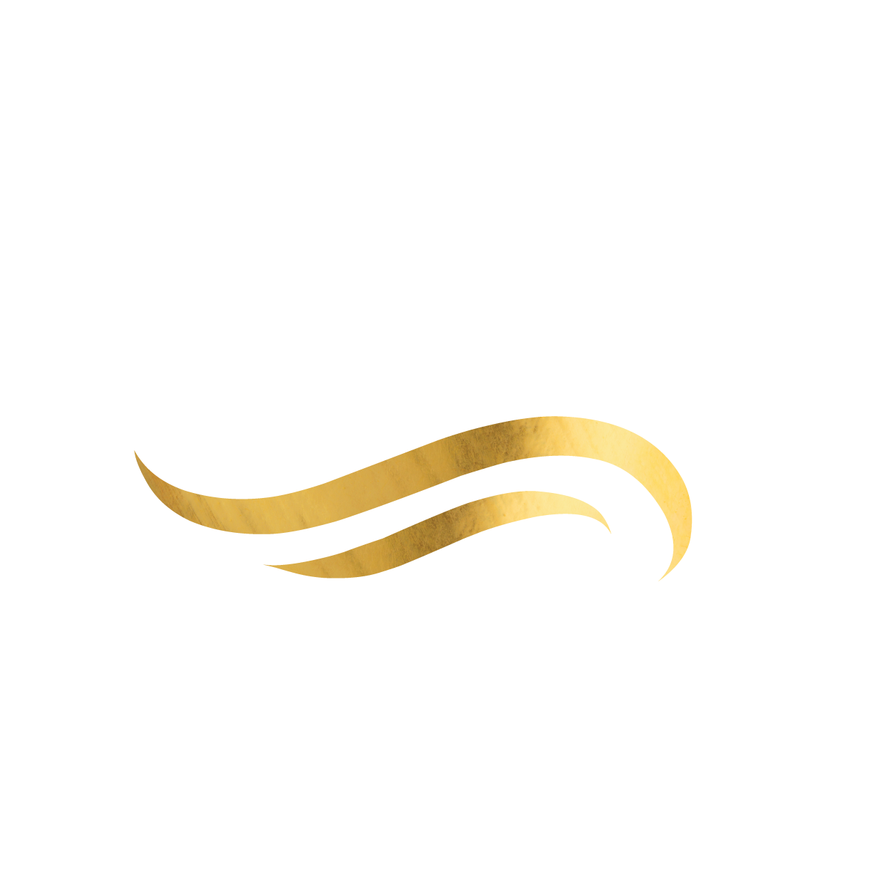 Asoreg Web Development